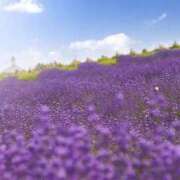 ヒメ日記 2025/06/02 13:30 投稿 のぞみ スピード日本橋店