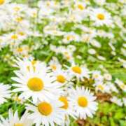 ヒメ日記 2025/06/12 18:57 投稿 のぞみ スピード日本橋店