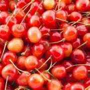 ヒメ日記 2025/07/28 11:37 投稿 のぞみ スピード日本橋店