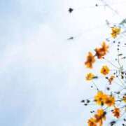 ヒメ日記 2025/08/18 16:37 投稿 のぞみ スピード日本橋店