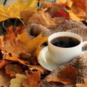 ヒメ日記 2025/09/19 08:27 投稿 のぞみ スピード日本橋店