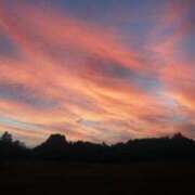 ヒメ日記 2025/12/01 00:47 投稿 のぞみ スピード日本橋店