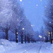 ヒメ日記 2025/12/15 12:17 投稿 のぞみ スピード日本橋店