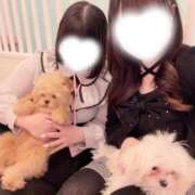 ヒメ日記 2026/03/20 14:20 投稿 ♡せいら♡ 梅田ムチぽよ女学院