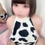 ヒメ日記 2026/05/31 12:11 投稿 ♡せいら♡ 梅田ムチぽよ女学院