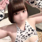 ヒメ日記 2026/10/24 12:00 投稿 ♡せいら♡ 梅田ムチぽよ女学院