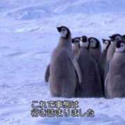 ヒメ日記 2025/07/03 12:54 投稿 ゆき ダイスキ