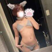 ヒメ日記 2025/05/02 19:53 投稿 さり しゃんぜりぜ