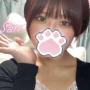 ヒメ日記 2025/05/08 15:28 投稿 さり しゃんぜりぜ