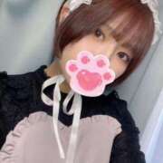 ヒメ日記 2025/05/12 10:00 投稿 さり しゃんぜりぜ