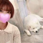 ヒメ日記 2025/05/20 09:01 投稿 さり しゃんぜりぜ