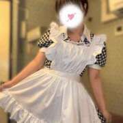 ヒメ日記 2025/05/20 09:30 投稿 さり しゃんぜりぜ