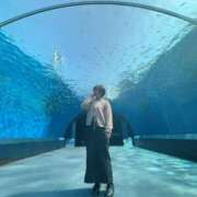 ヒメ日記 2025/05/20 16:50 投稿 さり しゃんぜりぜ