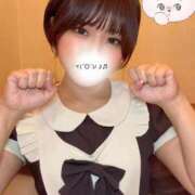 ヒメ日記 2025/06/29 14:45 投稿 さり しゃんぜりぜ