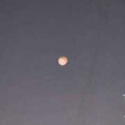 ヒメ日記 2025/09/08 02:49 投稿 さり しゃんぜりぜ