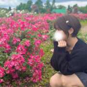 ヒメ日記 2025/11/26 12:15 投稿 さり しゃんぜりぜ