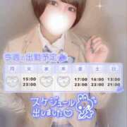 ヒメ日記 2025/12/06 12:01 投稿 さり しゃんぜりぜ