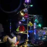 ヒメ日記 2025/12/08 19:27 投稿 さり しゃんぜりぜ