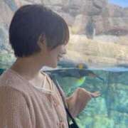 ヒメ日記 2026/01/17 18:00 投稿 さり しゃんぜりぜ