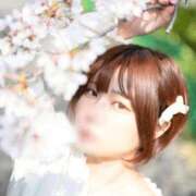 ヒメ日記 2026/03/30 12:02 投稿 さり しゃんぜりぜ