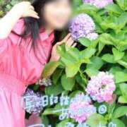 ヒメ日記 2025/06/09 20:42 投稿 橘すずか しこたま奥様 横浜店