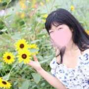 ヒメ日記 2025/07/15 14:52 投稿 橘すずか しこたま奥様 横浜店