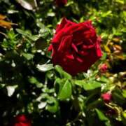 ヒメ日記 2025/05/07 17:28 投稿 こまち 奥様はエンジェル　町田店