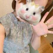 ヒメ日記 2025/05/18 17:02 投稿 こまち 奥様はエンジェル　町田店