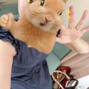 ヒメ日記 2025/06/04 13:01 投稿 こまち 奥様はエンジェル　町田店