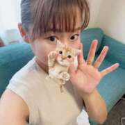 ヒメ日記 2025/07/13 10:14 投稿 こまち 奥様はエンジェル　町田店