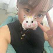 ヒメ日記 2025/08/10 10:38 投稿 こまち 奥様はエンジェル　町田店