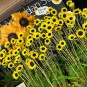 ヒメ日記 2025/08/27 10:16 投稿 こまち 奥様はエンジェル　町田店