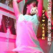 ヒメ日記 2025/09/27 12:36 投稿 こまち 奥様はエンジェル　町田店