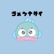 にの お休みします𓂃𓈒 𓂂𓏸 シェリーエンジェル