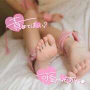 ヒメ日記 2026/04/24 22:39 投稿 Koharu ワンカラット～人妻の輝き～