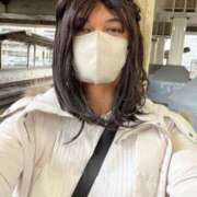 ヒメ日記 2025/05/06 17:12 投稿 かなえ 名古屋デッドボール