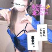 ヒメ日記 2025/05/03 15:45 投稿 ありす ニューティアラ