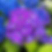 ヒメ日記 2025/06/17 16:26 投稿 なな ○コキクリニック～○○クリニックシリーズ～