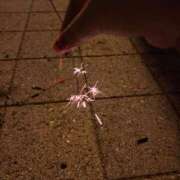 ヒメ日記 2025/09/17 20:15 投稿 あんな めっちゃスイスク京都店