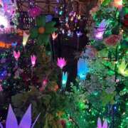 ヒメ日記 2026/01/14 19:12 投稿 あんな めっちゃスイスク京都店