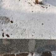 ヒメ日記 2026/01/22 18:52 投稿 あんな めっちゃスイスク京都店