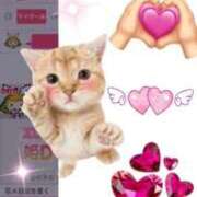 ヒメ日記 2025/09/18 22:20 投稿 さくら 渋谷角海老