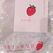 ヒメ日記 2025/11/01 04:20 投稿 さくら 渋谷角海老
