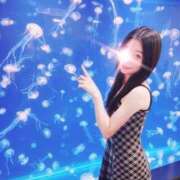 ヒメ日記 2025/11/07 13:40 投稿 さくら 渋谷角海老