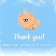 ヒメ日記 2025/11/14 00:10 投稿 さくら 渋谷角海老