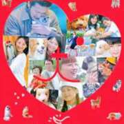 ヒメ日記 2026/04/14 22:40 投稿 さくら 渋谷角海老