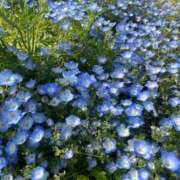 ヒメ日記 2025/05/16 21:14 投稿 紗蘭 東京人妻フォーシーズンズ