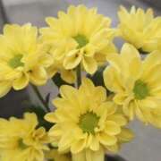 ヒメ日記 2025/05/30 08:54 投稿 紗蘭 東京人妻フォーシーズンズ