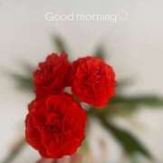 ヒメ日記 2025/06/04 08:54 投稿 紗蘭 東京人妻フォーシーズンズ