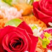 ヒメ日記 2025/06/07 07:54 投稿 紗蘭 東京人妻フォーシーズンズ